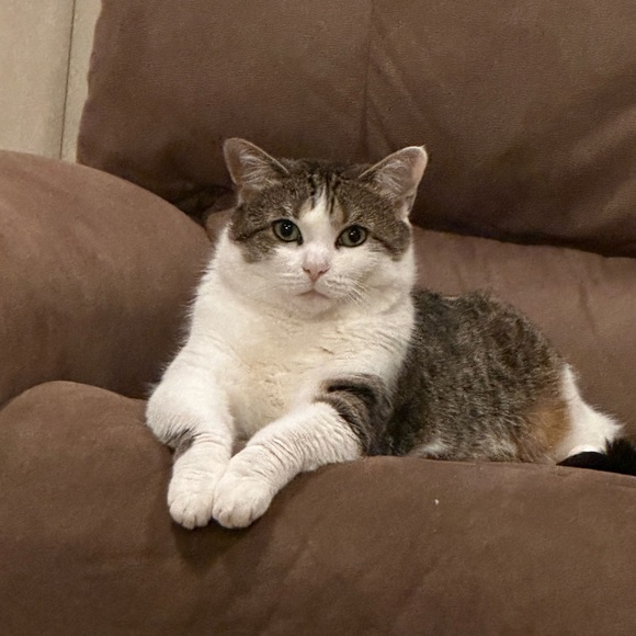 Meet your Posher, Brandon - Picture 9 of 9